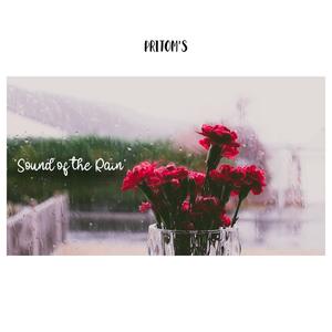 Sound of the Rain