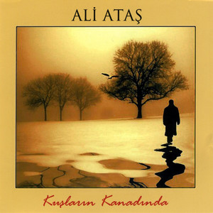 Kuşların Kanadında