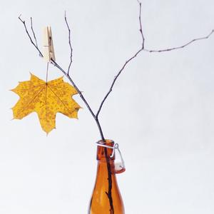 你这么近却那么远