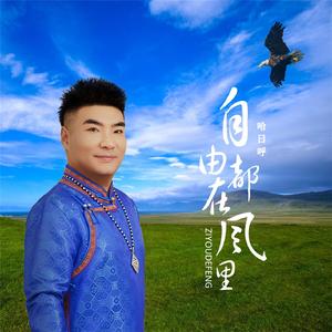 自由都在风里