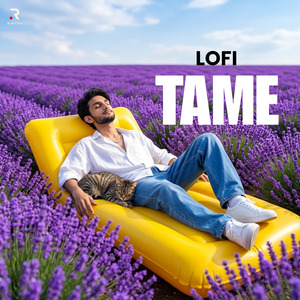 Tame (Lofi)