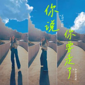 你说你要走了