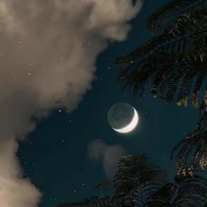 月光总会落在你身上