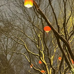 我们总会找到这里