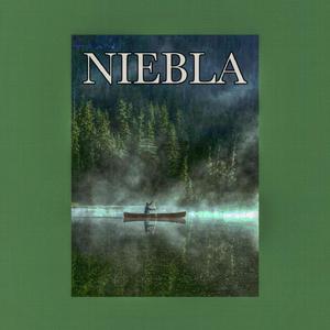 Niebla