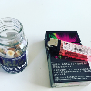 生きていく(demo)