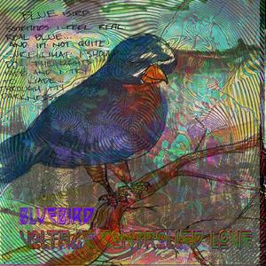 Surfing the Negative Emotional Waves