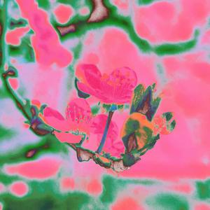 The Way You'd Love Her