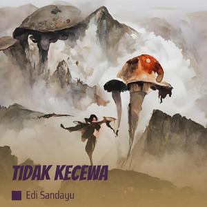 Tidak kecewa