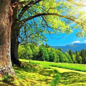 大自然 美景