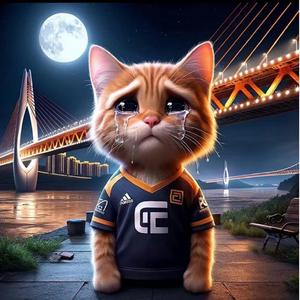 悲伤剧情（伤感版（胖猫再见）