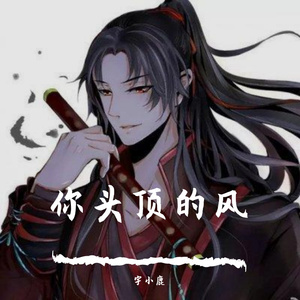 你头顶的风(原唱 王小帅)