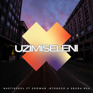 Uzimiseleni (feat. Zodwar, Ntokozo & Sbuda RSA)