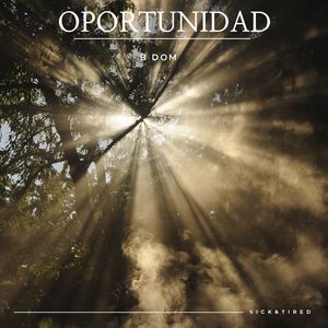 Oportunidad