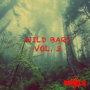 Wild Bars, Vol. 3