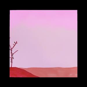 Flowers For Journeys