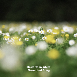 Flowerbed Song