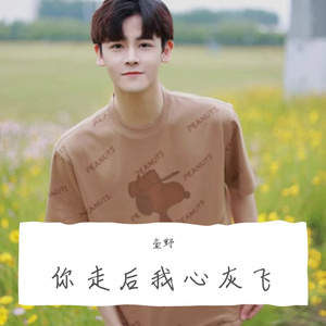 你走后我心灰飞(1)