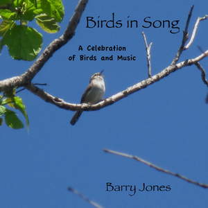 Heaven Is a White-Crowned Sparrow