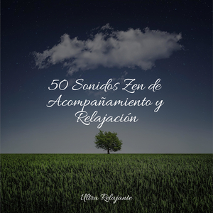 Perfección Después Del Anochecer