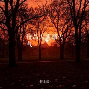 慢品人间烟火气 (Cover 锦上)