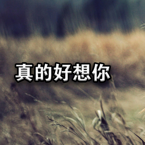 真的好想你