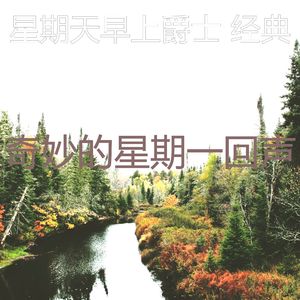 柔和的午餐时刻