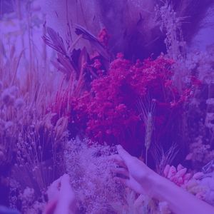 温和超级市场梦想