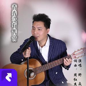 青春没有售价 (Remix)