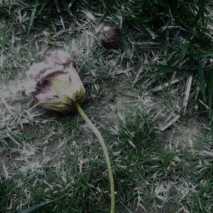 回忆录(Prod MoonVibe Beatz & Lil Siren)