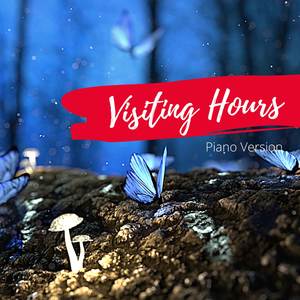 Visiting Hours (Piano Version)