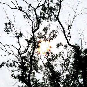 誰かがゆっくり線を引いた