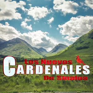 Corrido de j***s torres-Los Nuevos Cardenales de Sinaloa