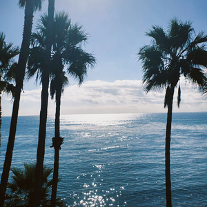 过程已是奖励何必追问结局