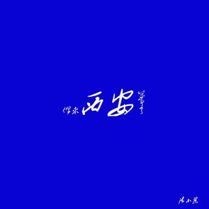 你来西安几年了