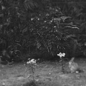 Upon Entering the Monolith Tilt Your Head