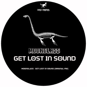 Get Lost In Sound