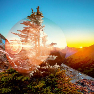 The Gate (Original Mix)