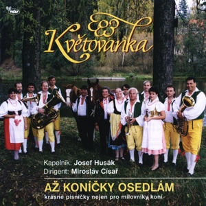 Páslo děvče koně