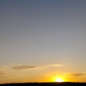 我心上 是你落笔的晴朗