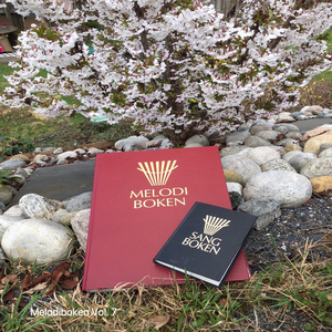 Herligste navn som er uttalt på jord