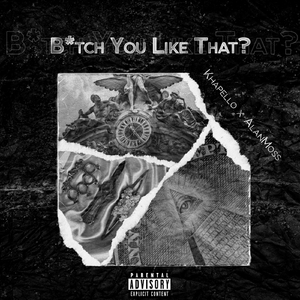 B***h You Like That? (feat. Alan Moss)