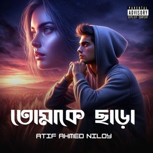 তোমাকে ছাড়া