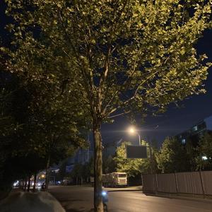 陌生 Prod by FRESH_ye