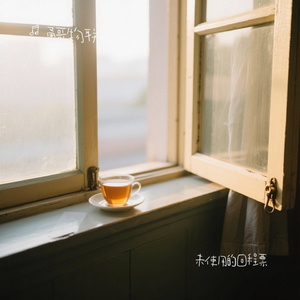 未使用的回程票