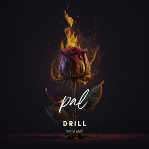 Pal (Drill Revibe)