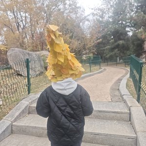 秋天公园的欢乐