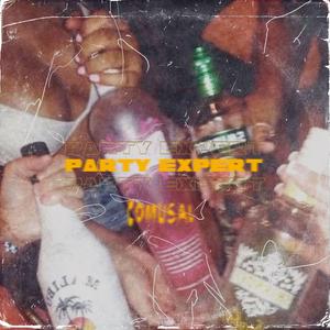 PARTY EXPERT