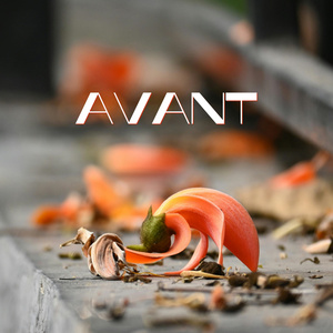 Avant