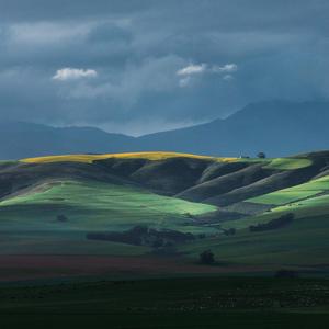 钱塘山畔泼茶香